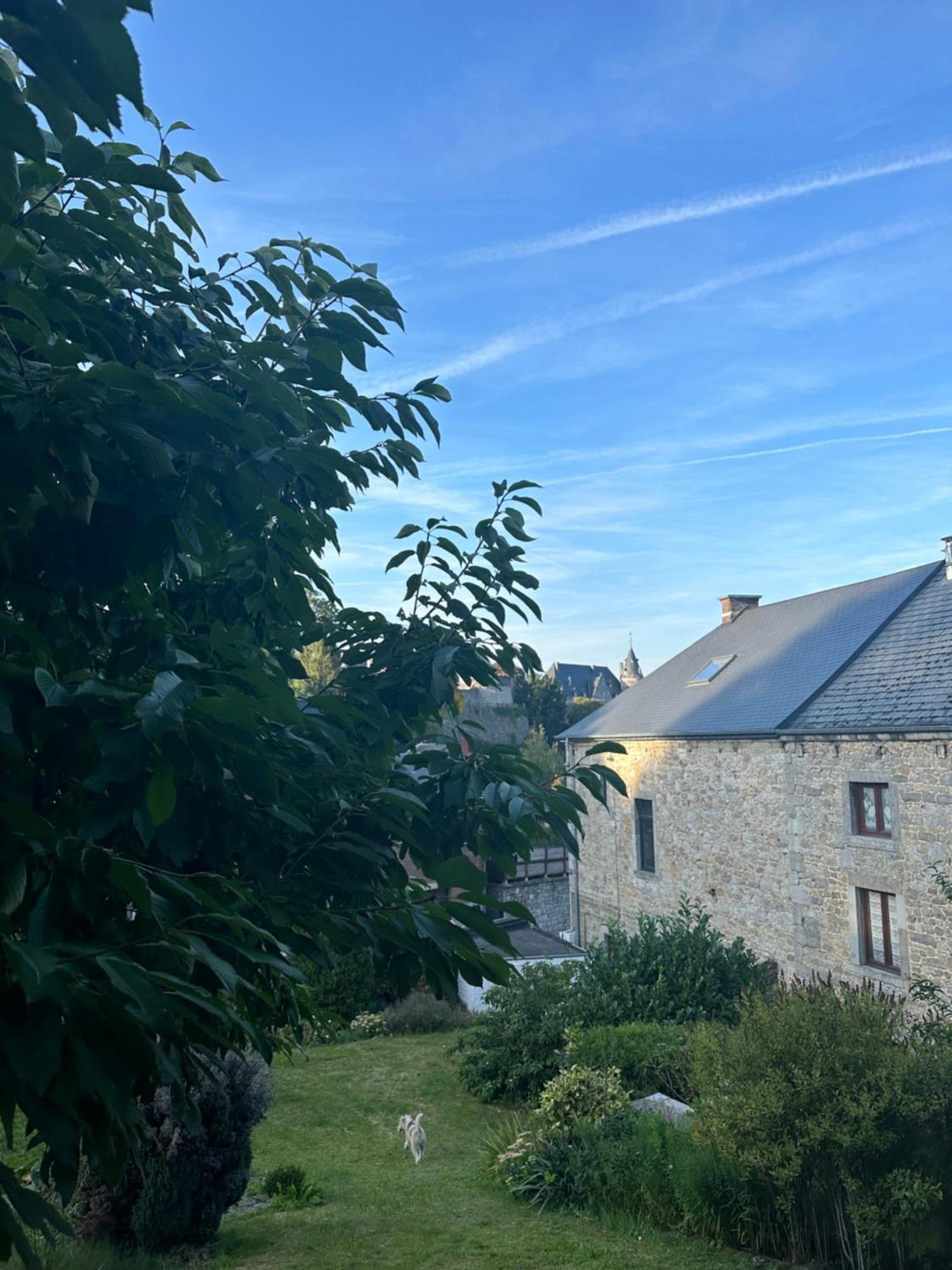 Maison Comtale Rochefort Exterior photo